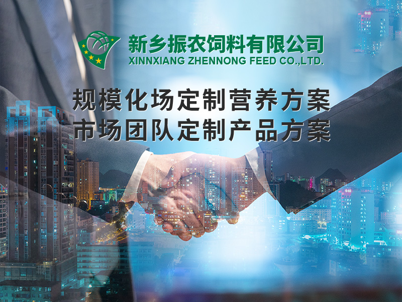 規(guī)?；喼?>
                          </div>
                          <div   id=